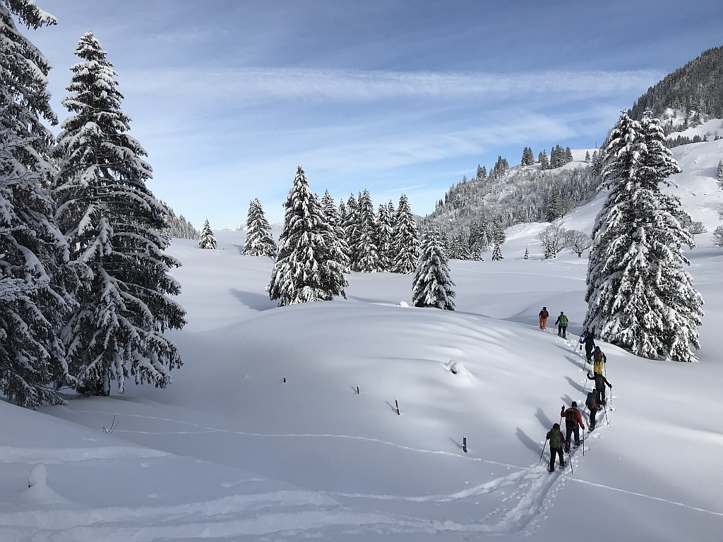 02_16. Jan 21_SAC Schneeschuhtour Schwarzsee (111).jpg